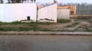 Une pluie soudaine et abondante sur Mostaganem [upl. by Evelyn]