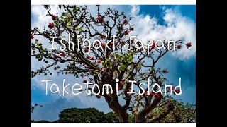 Discover The Beauty Of Ishigaki And The Enchanting Island Of Taketomi  The Ultimate World Cruise [upl. by Koo]