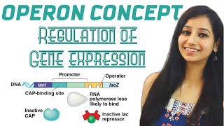 Operon Concept  Regulation of Gene ExpressionMolecular BiologyCSIRNETGATEIITJAMICARICMRDBT [upl. by Nirehs]