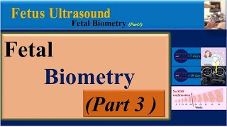 Fetus Ultrasound Fetal Biometry  Part3 [upl. by Artim904]