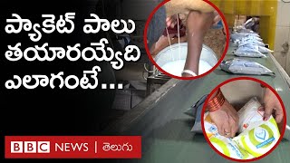 Milk Processing Plant మీ ఇంటికొచ్చే ప్యాకెట్ పాలు ఎలా తయారవుతాయో చూడండి  BBC Telugu [upl. by Analra369]