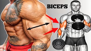 Best Workout for Bigger Biceps At Gym  Biceps exercises [upl. by Eerrehs749]