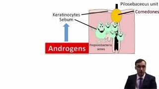 Acne Vulgaris [upl. by Jacobsohn]