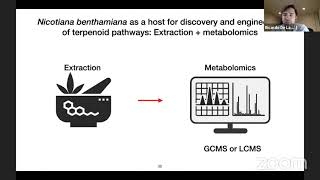 Ricard De La Peña – PAthway discovery and metabolic engineering of complex plant diterpenes [upl. by Alleinnad]