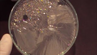 Chemistry experiment 20  Growing sodium thiosulfate crystals [upl. by Soiritos]