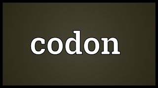 Codon Meaning [upl. by Cung]