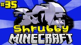 Eine KAWASAKI NINJA  Minecraft Shrubby 35 DeutschHD [upl. by Pell]