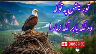 پشتو پخواني ترانه 🇵🇰🇦🇫🕋🤲 pashto nazam [upl. by Christophe]