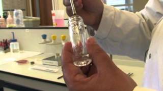 Microbiology Using API Strips 1 [upl. by Plusch781]