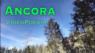 «Ancora» VideoPoesia [upl. by Ifok]