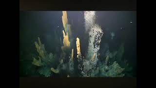 Hydrothermal vents theory about the origin of life [upl. by Yesmar260]