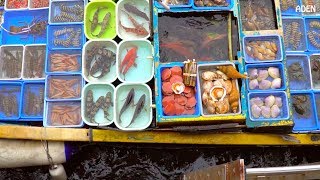 Hong Kongs Floating Seafood Market amp Fish Cutting [upl. by Lovel]