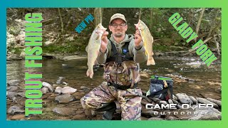 Fish on Awesome Day Trout Fishing Glady Forks West Virginia  New PB  Bobber Downs Summer 2024 [upl. by Samau]