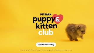 Join Petbarns Puppy amp Kitten Club [upl. by Jarita441]