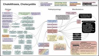 Cholelithiasis Cholecystitis mechanism of disease [upl. by Wetzell]