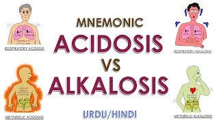 Mnemonic Acidosis Vs Alkalosis  UrduHindi [upl. by Aseuqram]