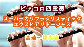 【ピッコロ】スーパーカリフラジリスティックエクスピアリドーシャス 高速～超高速【演奏してみた】 [upl. by Demahum118]