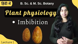 Plant physiology  Imbibition  Botany  B Sc amp M Sc [upl. by Mudenihc287]