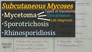 Subcutaneous Mycosis  Mycetoma  Sporotrichosis  Rhinosporiodosis [upl. by Corliss]