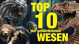 TOP 10 der GEFÄHRLICHSTEN TIERWESEN aus Harry Potter 💀 [upl. by Hyacinthia771]