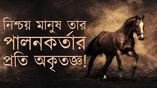 Amazing Recitation of Al Quran Surah AL ADIYAT by Omar Hisham Al Arabi Bangla Subtitle [upl. by Noiztneb]