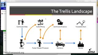 Trellis Extended Walkthrough [upl. by Baumann]