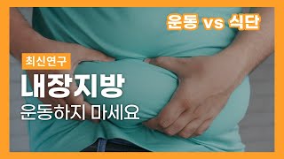 이렇게 하면 quot전부 녹아내립니다quot 최신연구로 보는 굶지 않고 내장지방 가장 빨리 제거하는 법 [upl. by Ajup310]