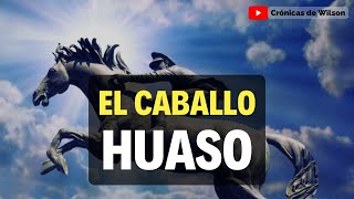 La historia del caballo Huaso [upl. by Nace]