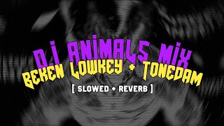 DJ ANIMALS  BEKEN LOWKEY  TONEDAM   slowed  reverb [upl. by Airym]