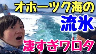 オホーツク海の流氷なめてました！船に乗って白銀世界を見にいく【網走オーロラ号】 [upl. by Clynes208]