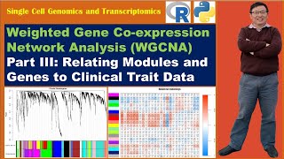 Weighted Gene Coexpression Network Analysis WGCNAPart III Relate Modules and Genes to Trait Data [upl. by Debra]