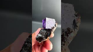 Fluorite on Sphalerite from USA  Fine Art Minerals  Fluorite [upl. by Andaira]