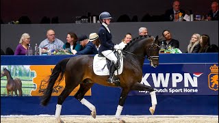 Olaf during the KWPN stallion show in Den Bosch [upl. by Kev]