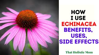 How I Use Echinacea [upl. by Aschim]