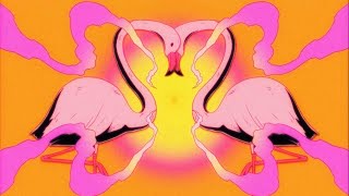 Flamingosis  Nebula Gazer Visualizer [upl. by Aikemal70]