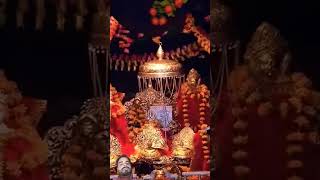 Maa bhakti div Vaishno Devi viralvideo maavaishnavdevi [upl. by Stickney184]