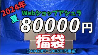 【エアガン福袋】2024年Webショップアシュラ夏の8万円福袋 [upl. by Ignacia]