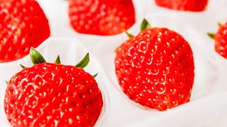 How Oishii Grows Some Of The Most Expensive Strawberries In The World  Delish [upl. by Wailoo]