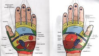 Réflexologie des mains  Auto massage [upl. by Onilatac]