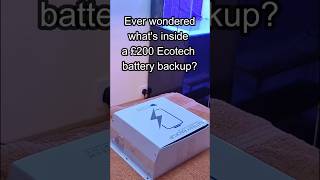 Whats inside the Ecotech battery backup [upl. by Hayne]