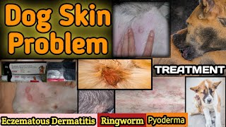 dog skin problems solution in hindi  atopic dermatitis  dog skin allergy  Treatment [upl. by Kcitrap]