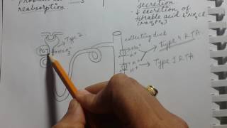 RENAL TUBULAR ACIDOSIS  USMLE STEP 1 [upl. by Idnil34]