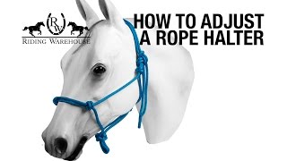 How To Resize amp Adjust a Rope Halter [upl. by Santoro784]