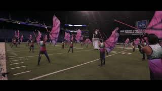 The Blue Devils 2018 Auditions  Color Guard Performance  Ballad [upl. by Birch]