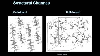 Mercerization for cotton Effects and Properties [upl. by Akila]