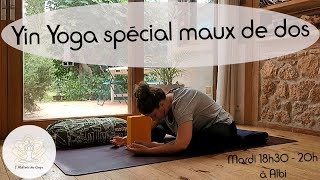 40mn de Yin Yoga special maux de Dos Débutant [upl. by Amelie704]