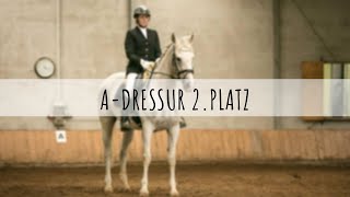 ADressur 290614 Stallturnier [upl. by Chavey212]