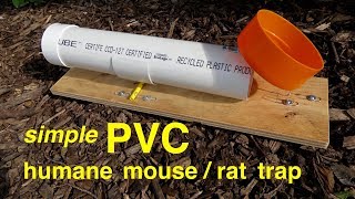 How to make ● a simple PVC HUMANE RATMOUSE TRAP [upl. by Nosac]