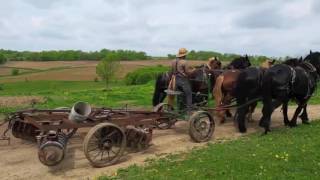 Amish farming  6horse power plow [upl. by Scutt]