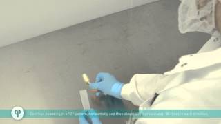 How to Collect an Environmental Surface Sample From a Stainless Steel Countertop Food Safety [upl. by Aryek]